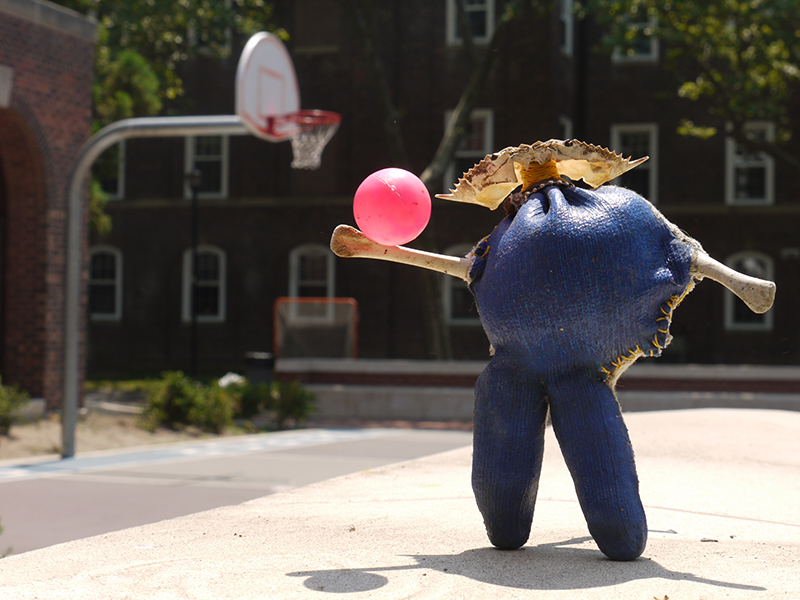 'Mrs Crab', Made with found objects on Governors Island, limited ed C-Print, 2012